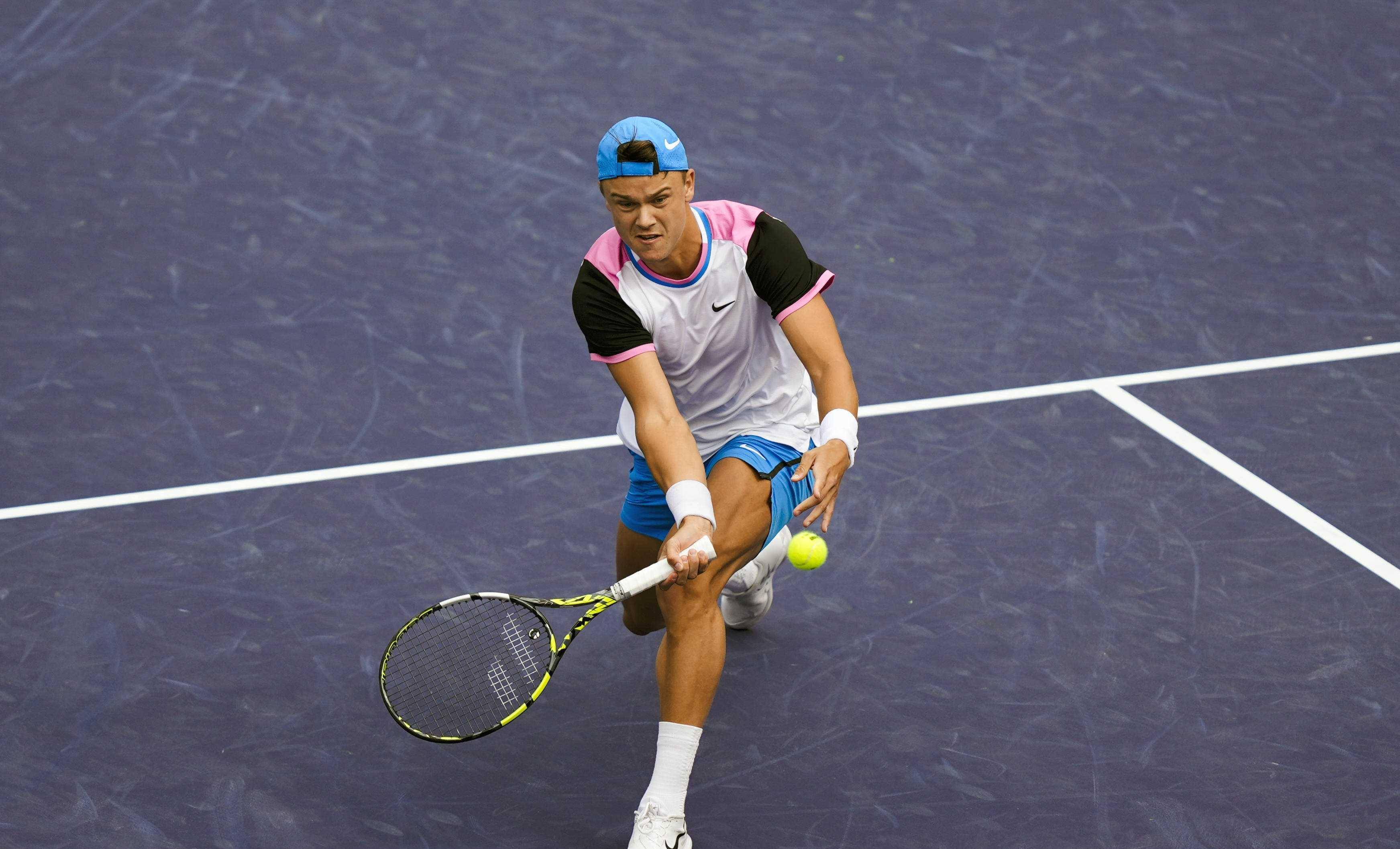 有潜力的新 有潜力的新